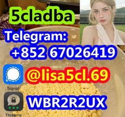 Strongest 5cladba Raw Material 5CL-ADB Precursor